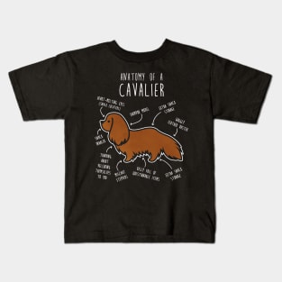 Ruby Cavalier King Charles Spaniel Dog Anatomy Kids T-Shirt